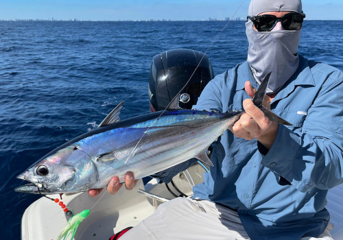 A Comprehensive Look at Descriptive Statistics: Everything You Need to Know